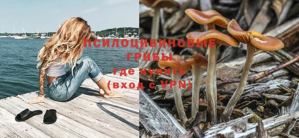 ешки Аркадак