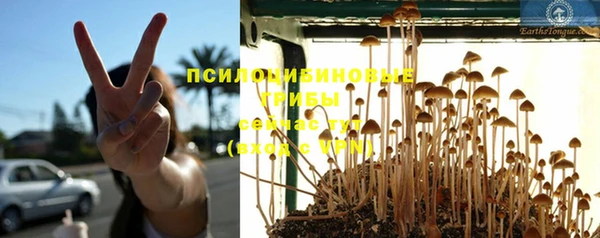 стафф Сафоново