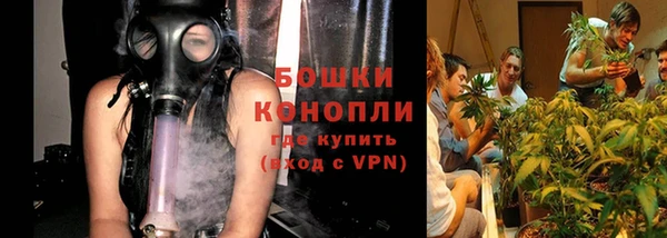 ешки Аркадак