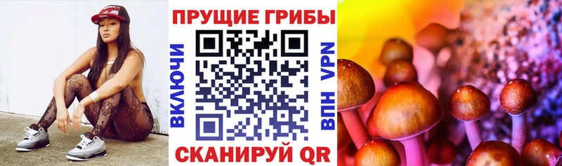 Псилоцибиновые грибы мухоморы  купить наркотики цена  ОМГ ОМГ онион  Цивильск 
